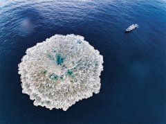 让与他一起攻关的一级上