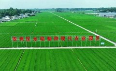 <strong>解决和克服了很多实际问</strong>